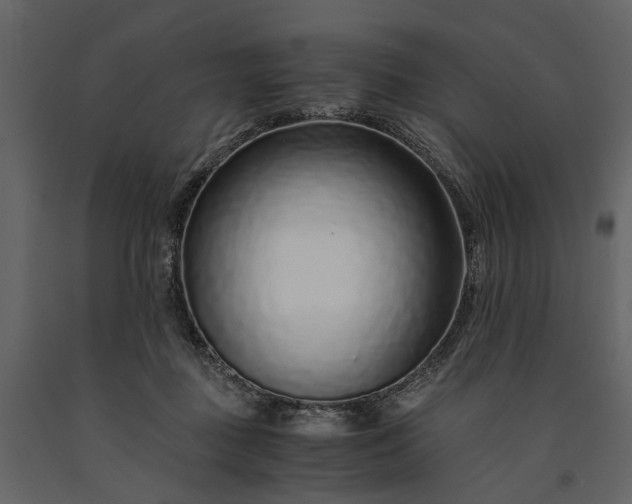 X0000091180363200708231534