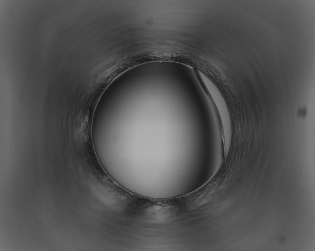 X0000091180364200708231534