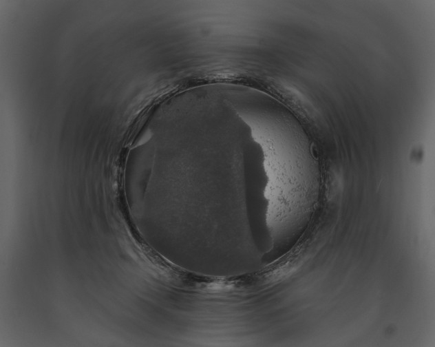 X0000091180366200708231534