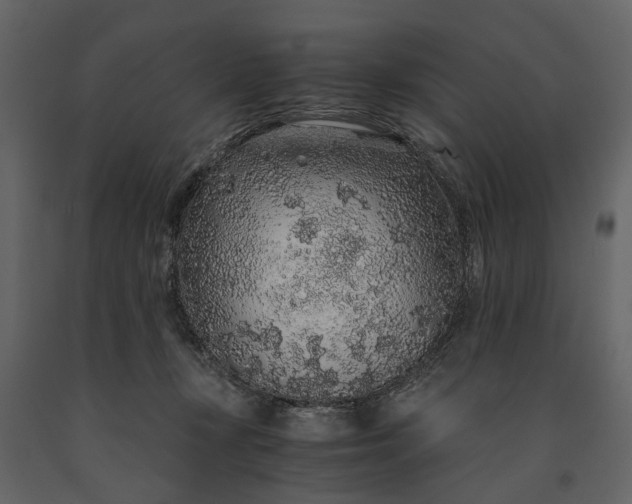 X0000091180367200708231534