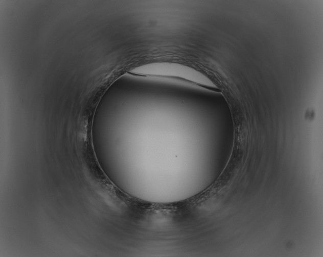 X0000091180368200708231534