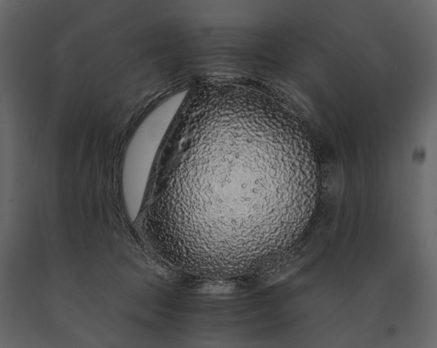 X0000091180369200708231534