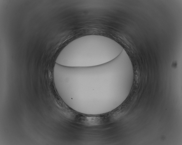 X0000091180371200708231534