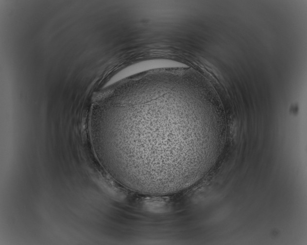 X0000091180373200708231534