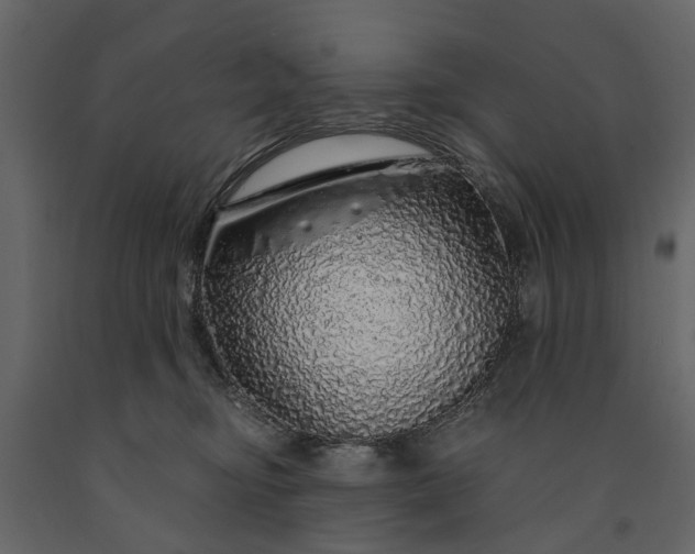 X0000091180374200708231534