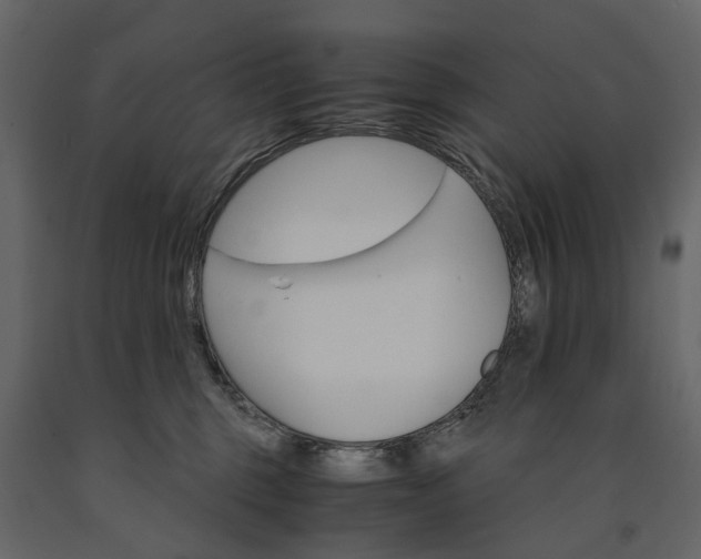 X0000091180375200708231534