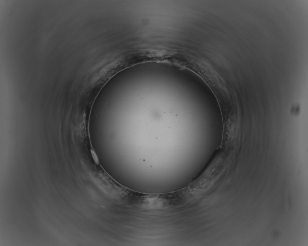 X0000091180376200708231534