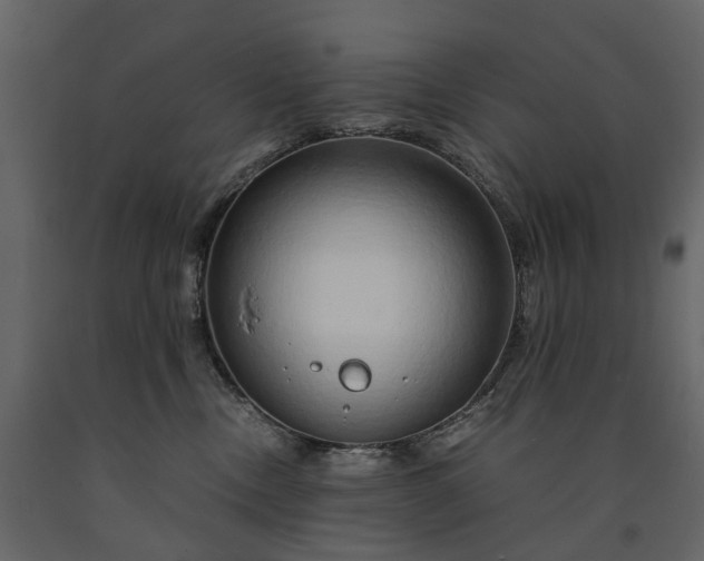 X0000091180378200708231534