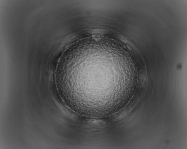 X0000091180379200708231534