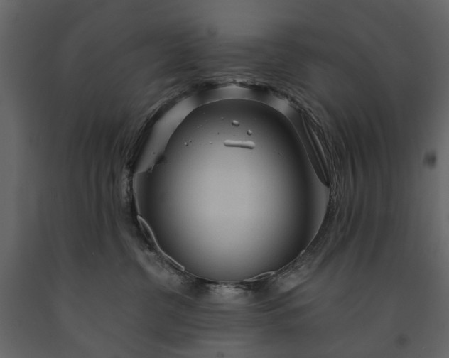 X0000091180380200708231534