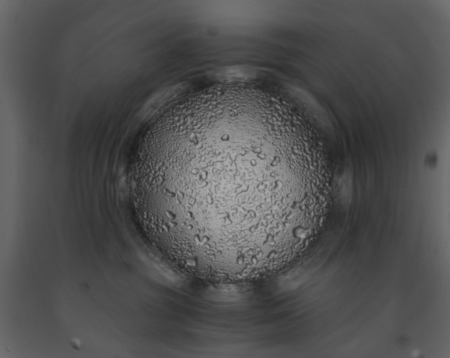 X0000091180381200708231534