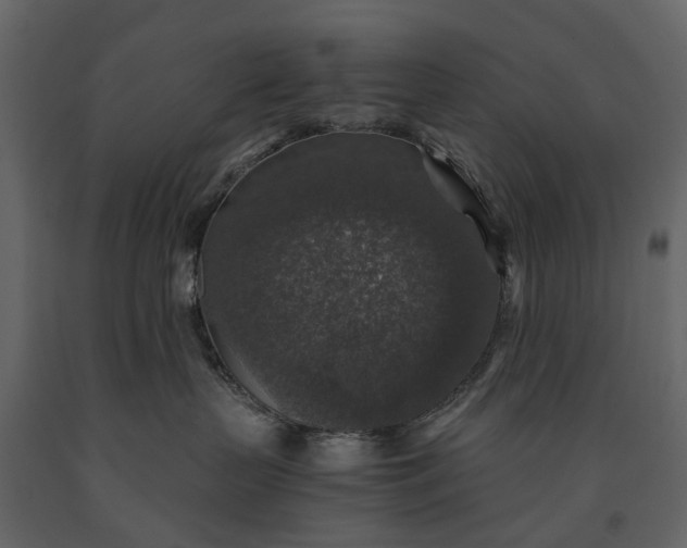 X0000091180383200708231534