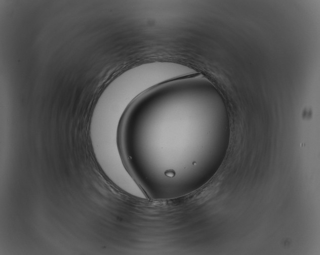 X0000091180384200708231534