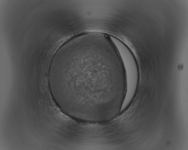 X0000091180385200708231533