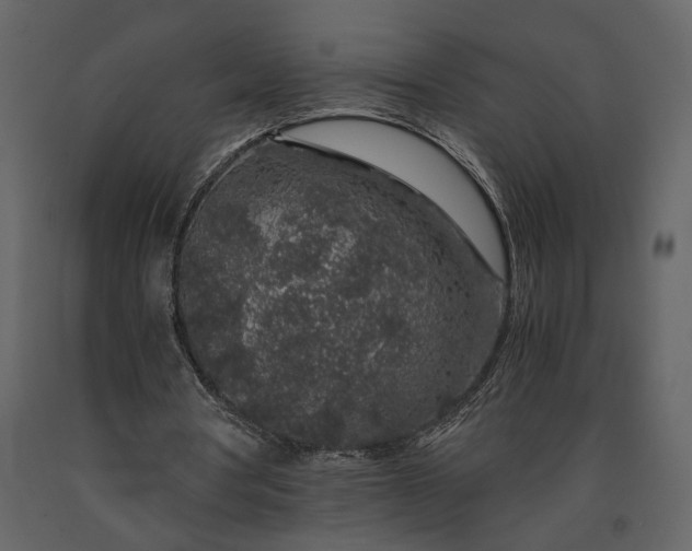 X0000091180386200708231533