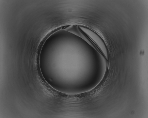 X0000091180387200708231533