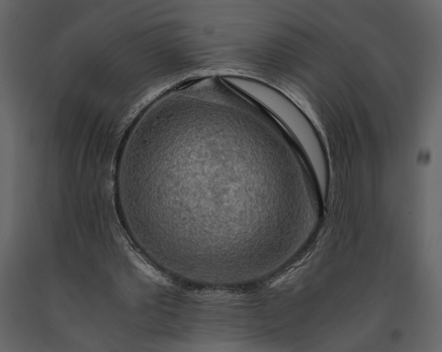 X0000091180389200708231533