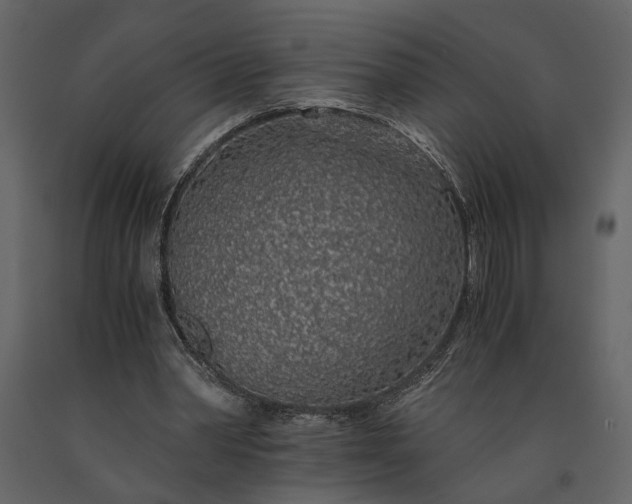 X0000091180390200708231533