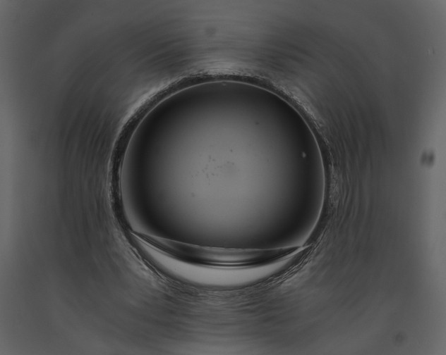 X0000091180391200708231533