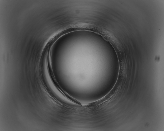 X0000091180392200708231533