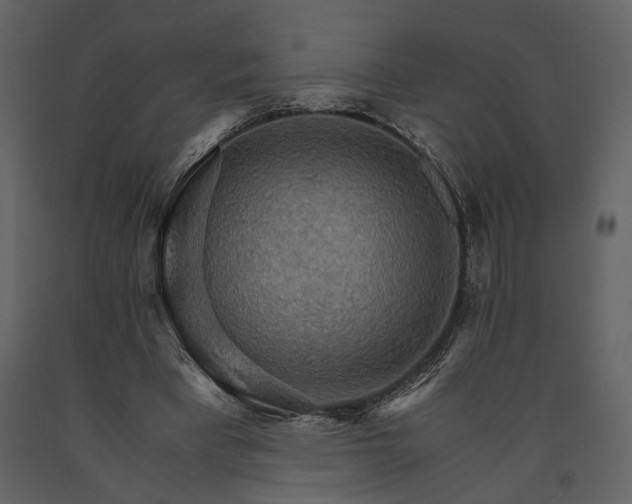 X0000091180393200708231533