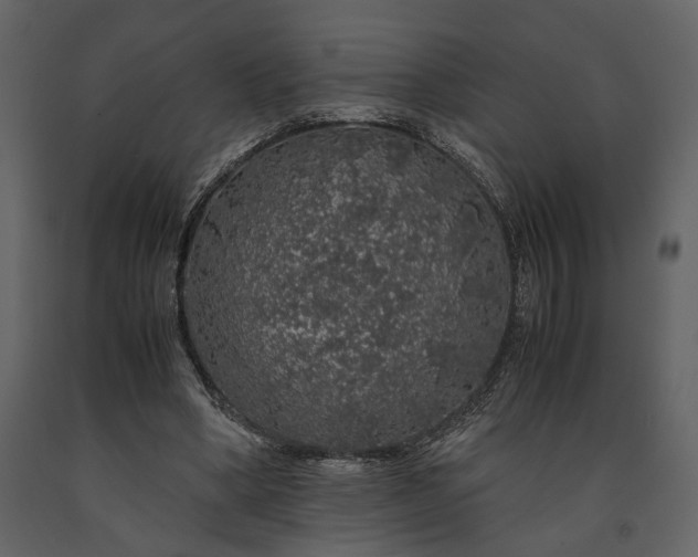 X0000091180394200708231533