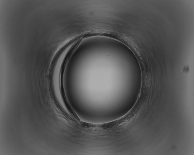 X0000091180395200708231533