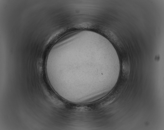 X0000091180396200708231533