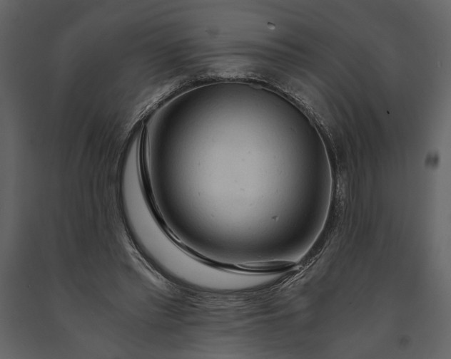 X0000091180397200708231533