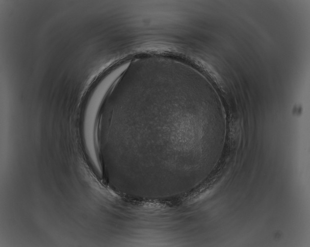 X0000091180399200708231533