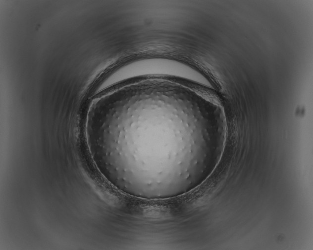 X0000091180400200708231533