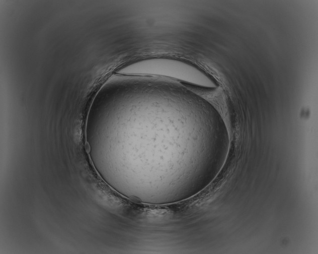 X0000091180401200708231533