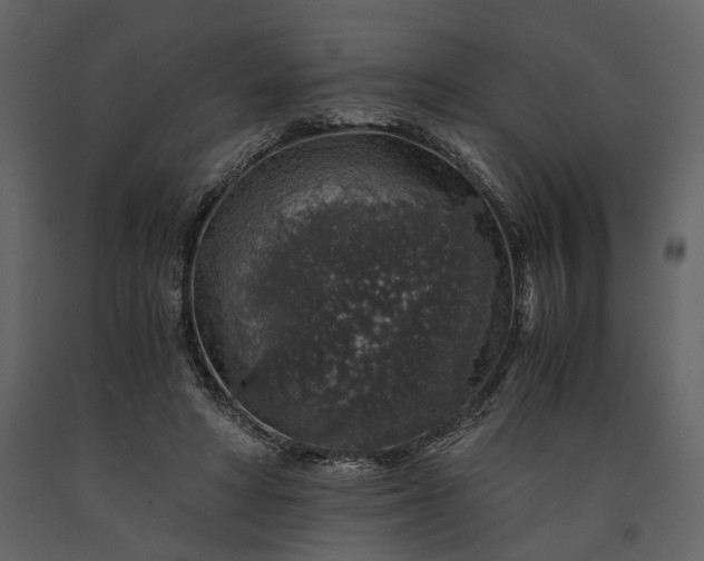 X0000091180402200708231533