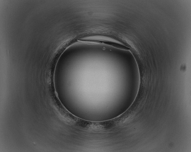 X0000091180403200708231533