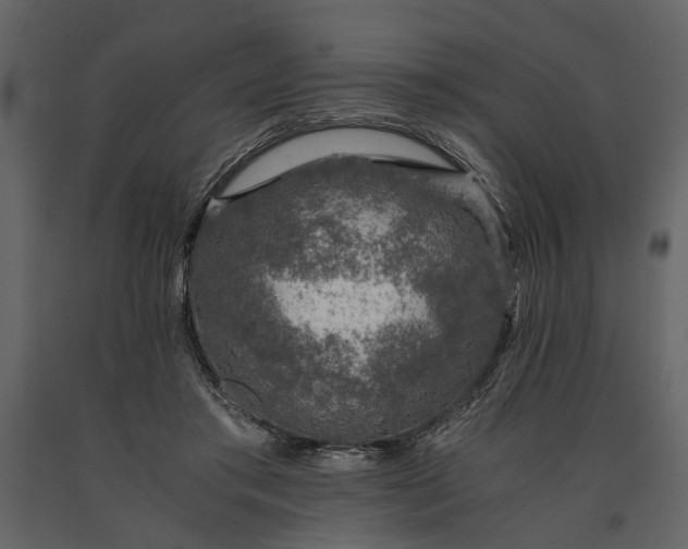 X0000091180405200708231533