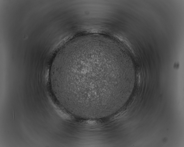 X0000091180406200708231533