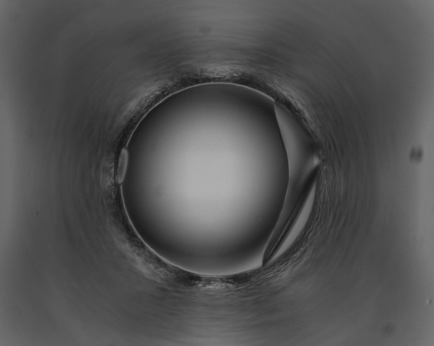 X0000091180407200708231533