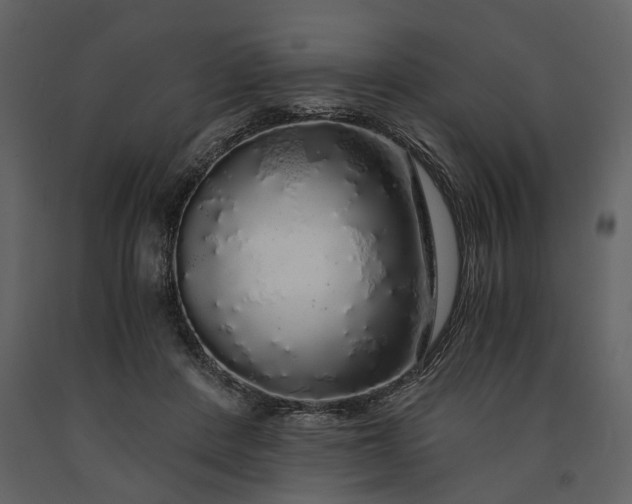 X0000091180408200708231533