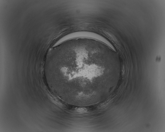 X0000091180409200708231533