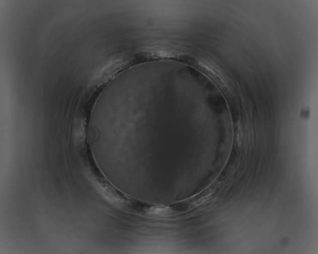 X0000091180410200708231533