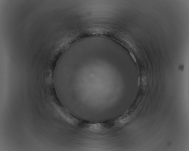 X0000091180411200708231533