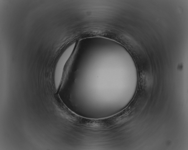 X0000091180412200708231533