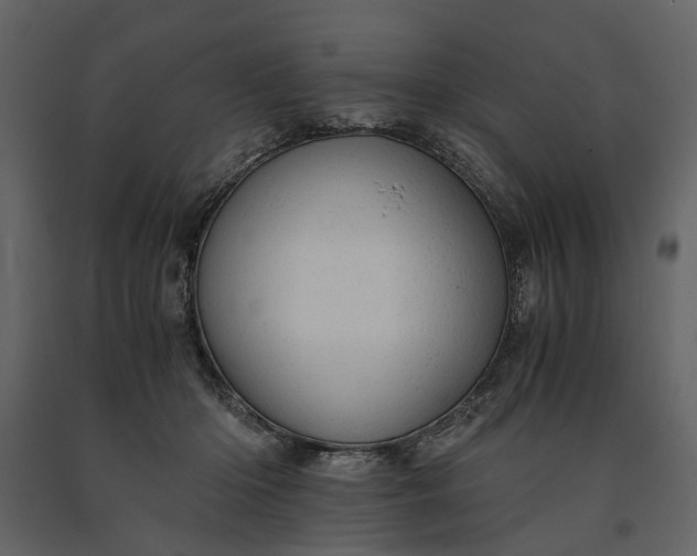 X0000091180414200708231533