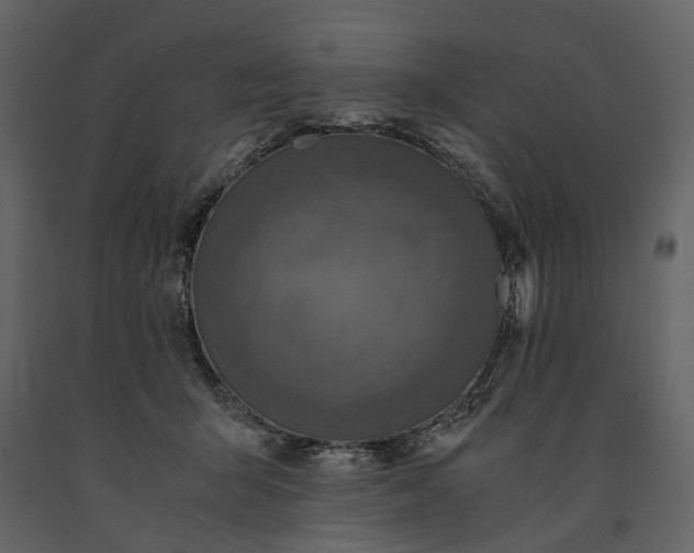 X0000091180415200708231533