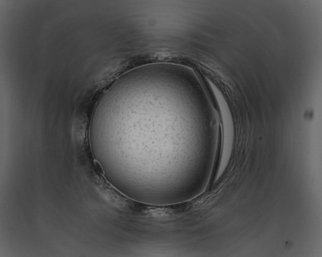 X0000091180417200708231533