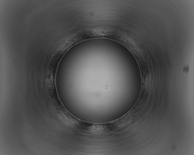 X0000091180418200708231533