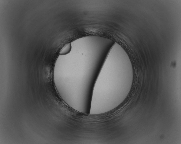 X0000091180420200708231533