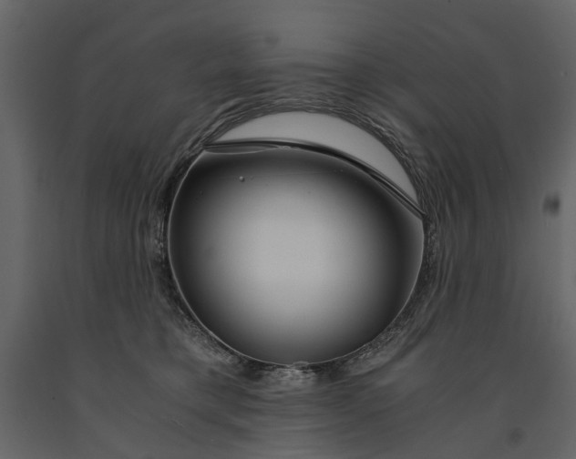 X0000091180421200708231533