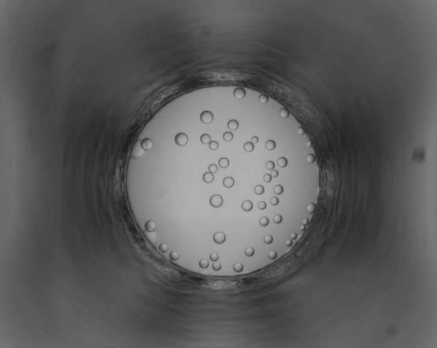 X0000091180422200708231533