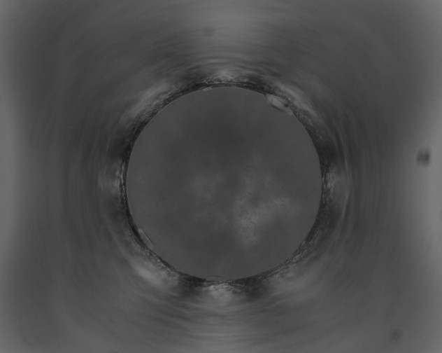 X0000091180423200708231533